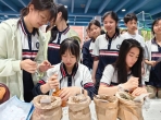 北碚区科技活动周启幕  重庆大学附属肿瘤医院中医药科普活动引关注