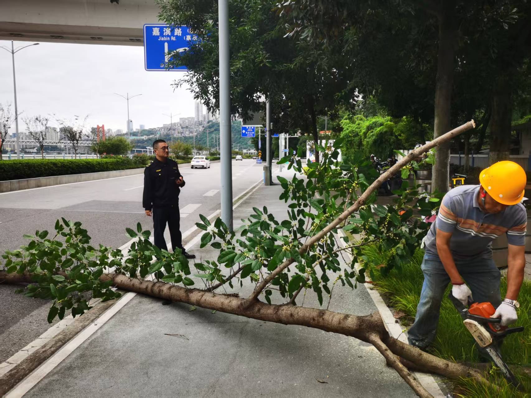 微信图片_20251031085523_592_84